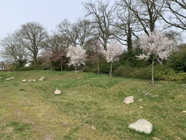 openbaar_groen